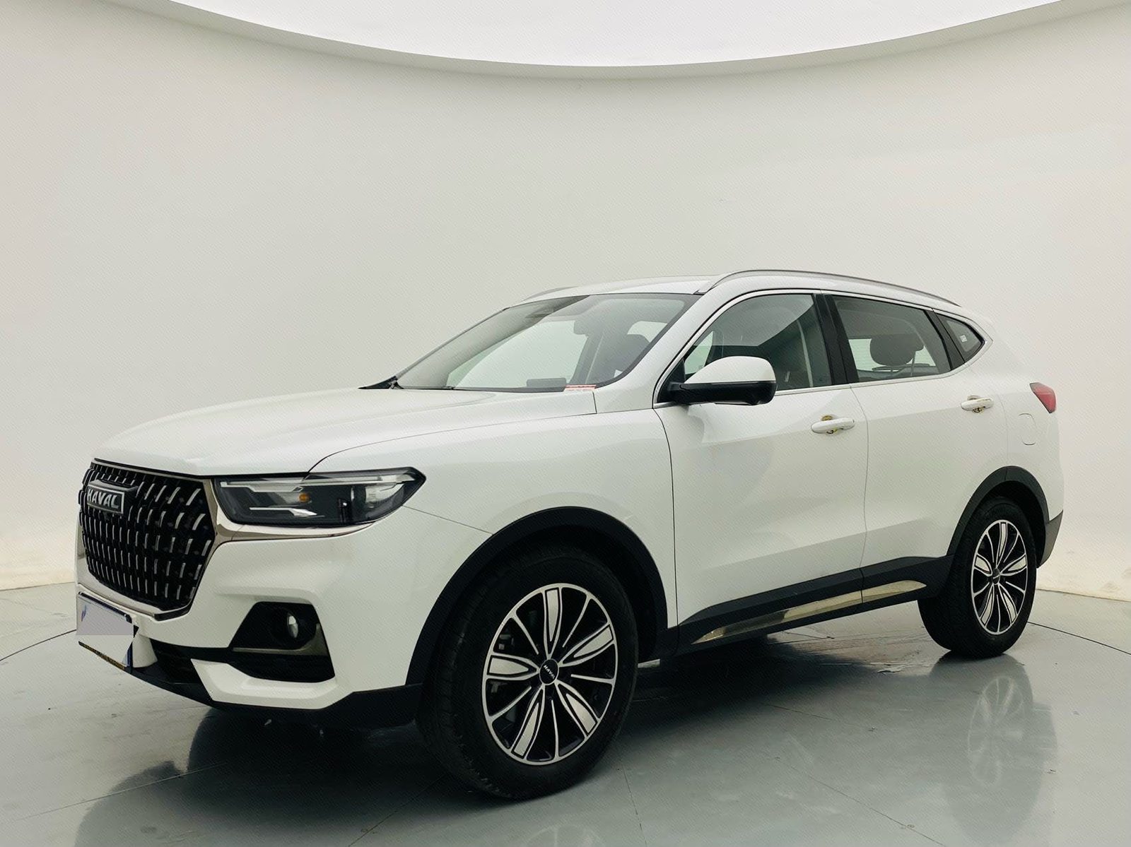Haval 2023 H6 1.5T National Trend Edition Champion Version