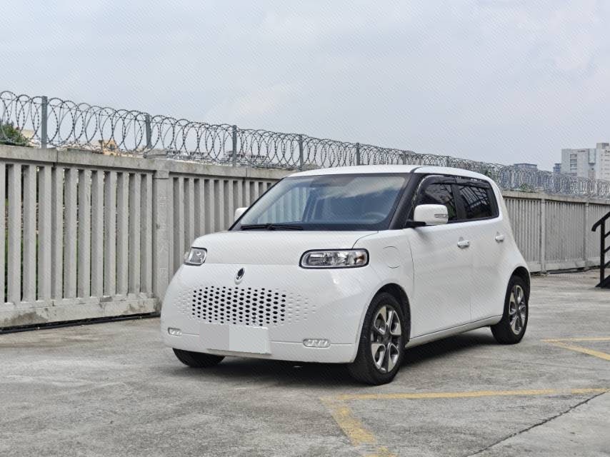 ORA 2022 R2 (White Cat) Upgraded 305km Luxury Model