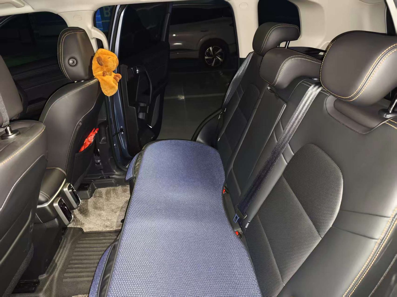 Фото Haval Dargo Big Dog 1.5T Border Collie Edition — 5