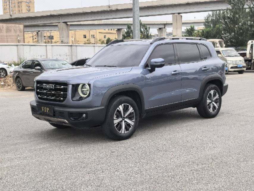 Haval Dargo 2021 Big Dog 1.5T Border Collie “Wang Cai” Edition