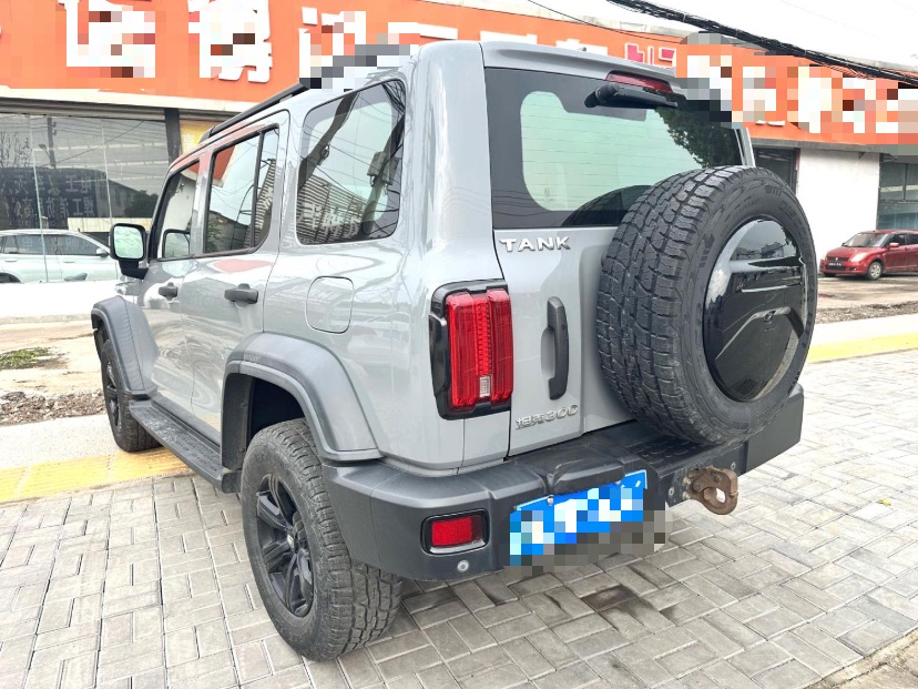 TANK 2021 Tank 300 2.0T Off-Road Edition Conqueror photo 2