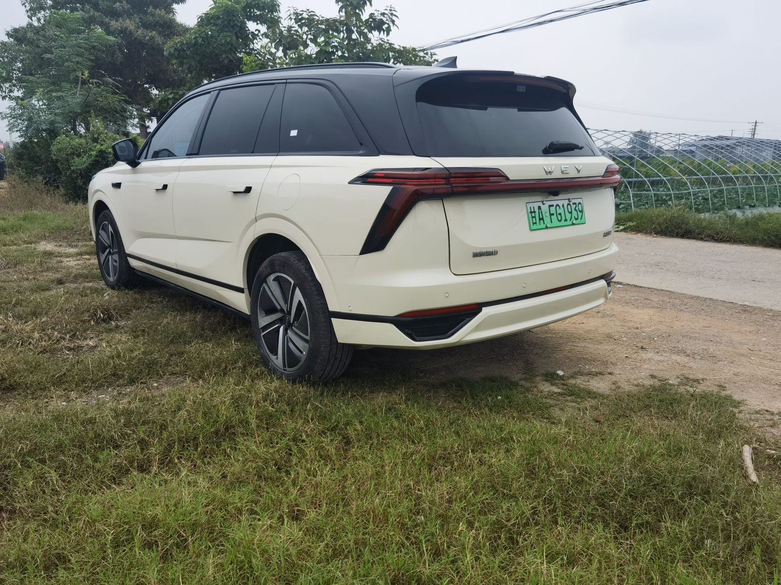 صورة WEY Blue Mountain DHT Lanshan DHT 1.5T Smart Advanced Edition All-Wheel Drive Max رقم 3