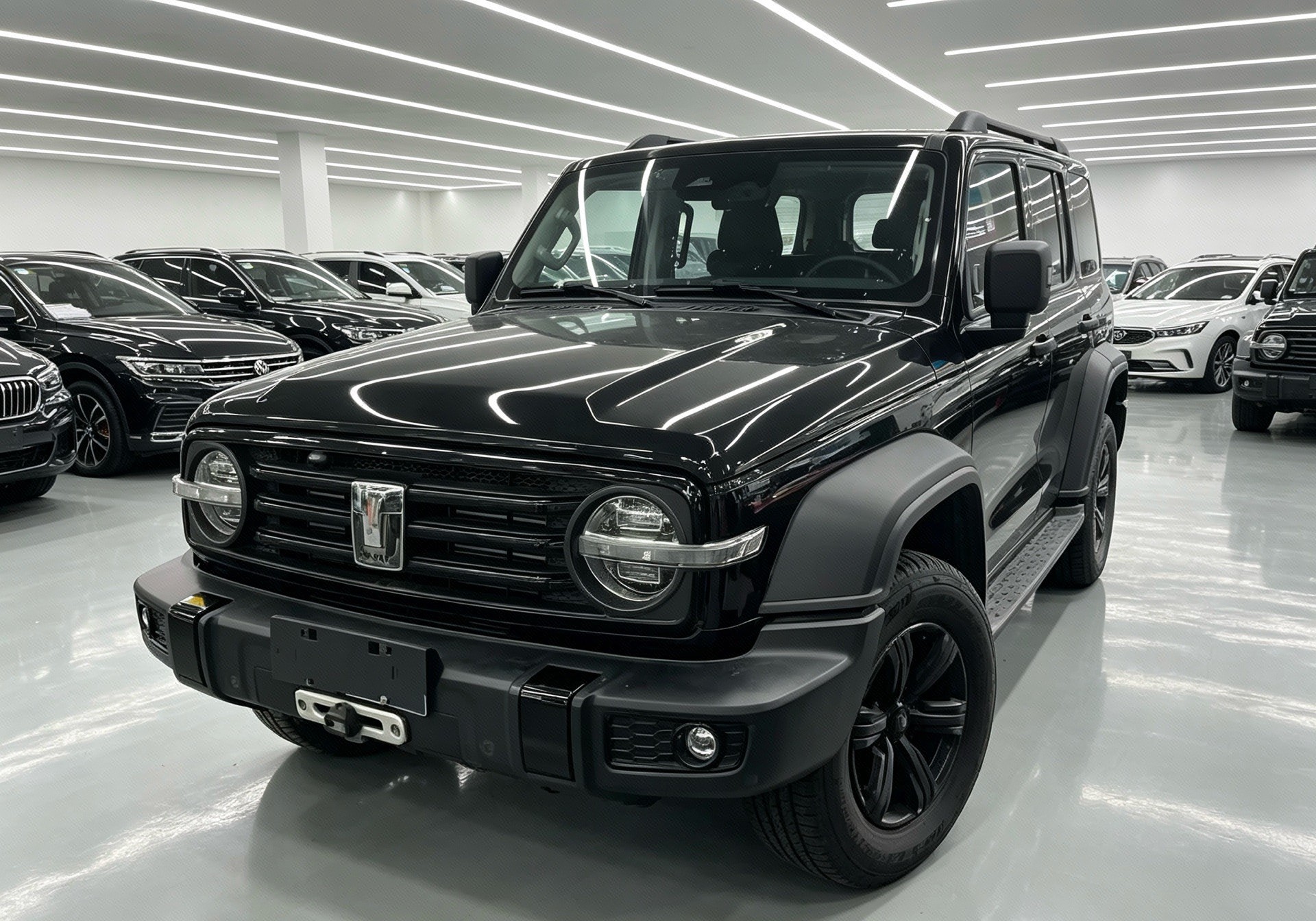 TANK 2021 Tank 300 2.0T Off-Road Edition Conqueror