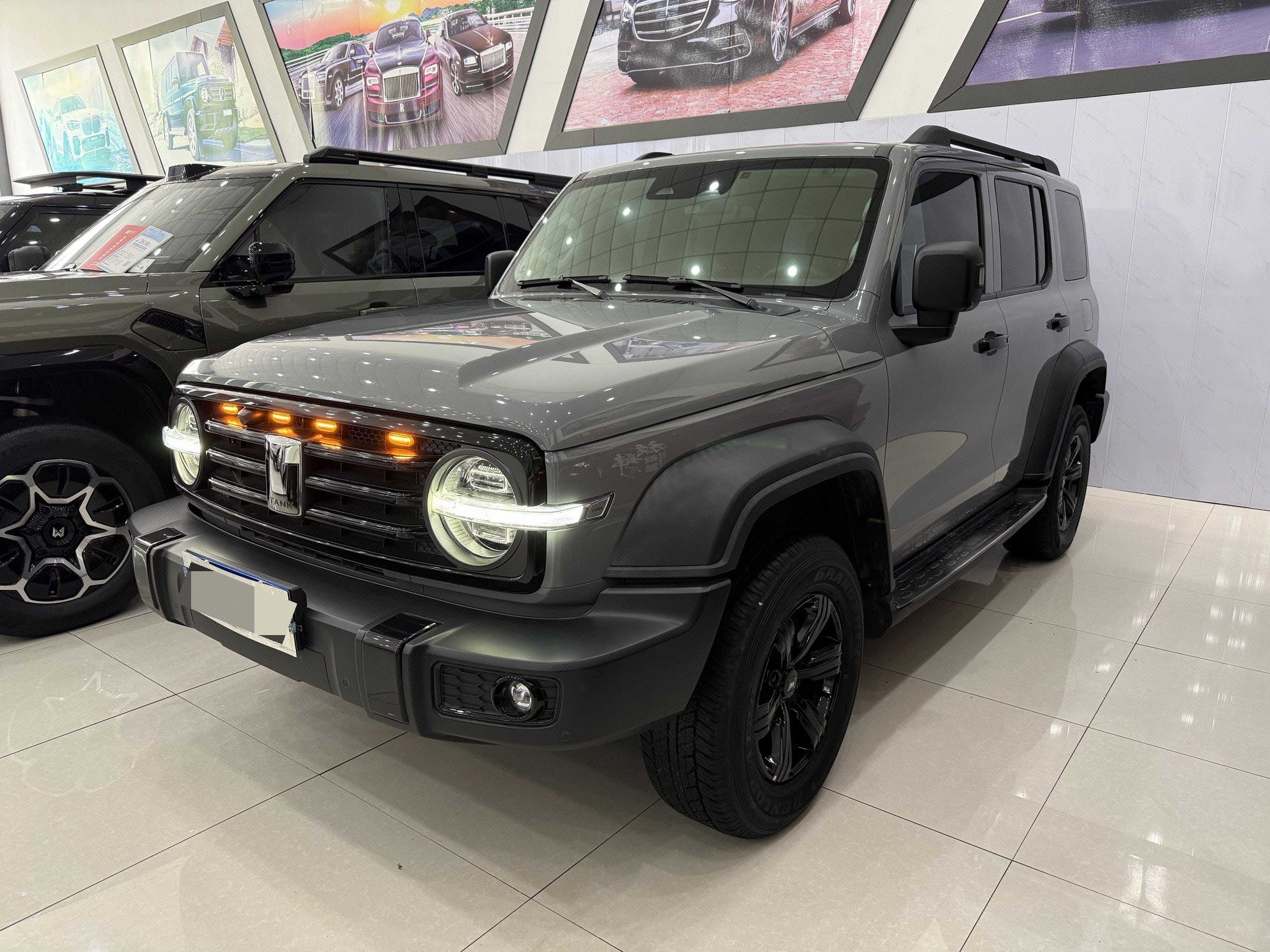 TANK 2021 Tank 300 2.0T Off-Road Edition Conqueror