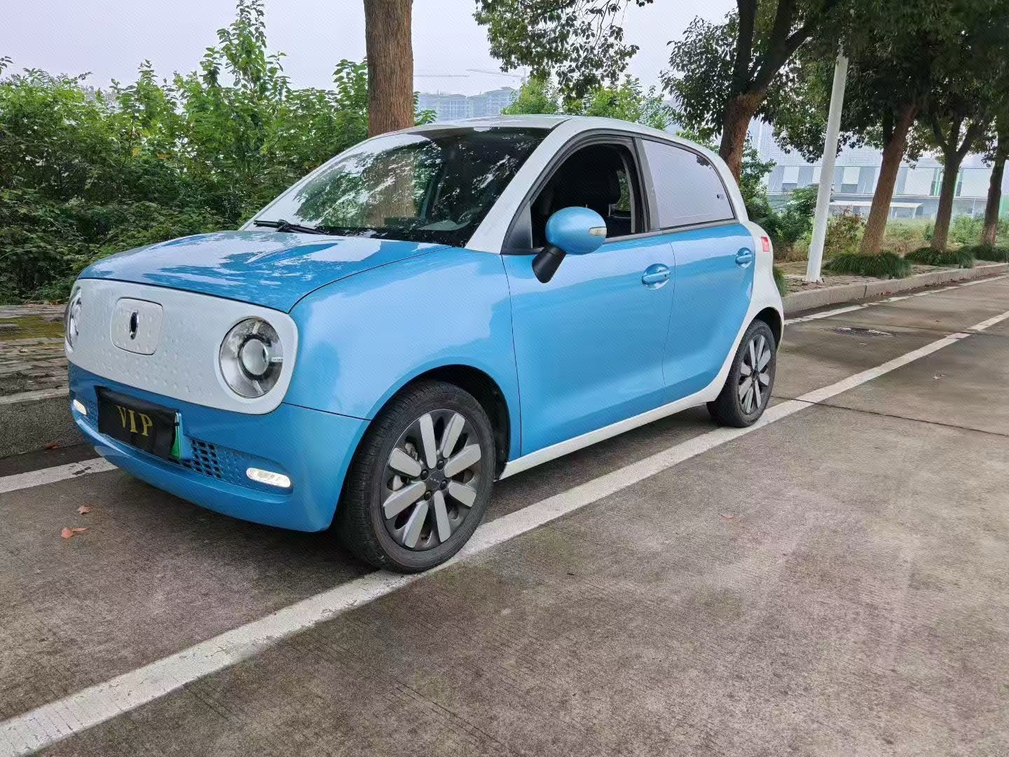 ORA 2021 R1 (Black Cat) 351km Standard Model