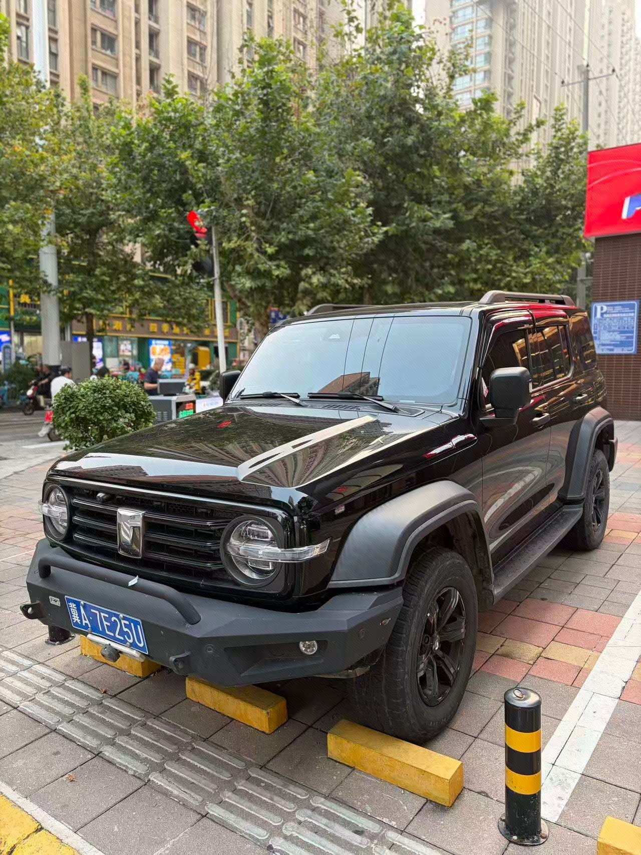 TANK 2021 Tank 300 2.0T Off-Road Edition Conqueror