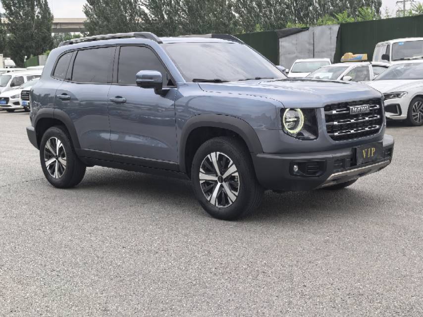 Haval Dargo Big Dog 1.5T Border Collie “Wang Cai” Edition foto 3