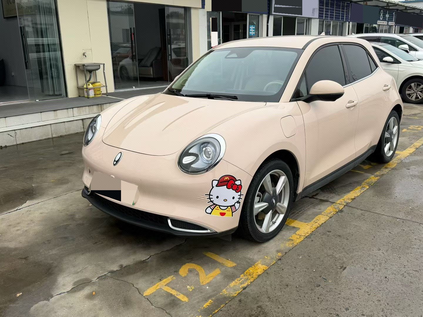 ORA 2023 Good Cat 401 km Standard Range Luxury Model – Lithium Iron Phosphate