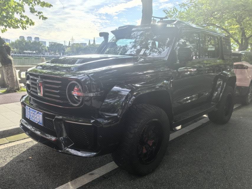 TANK 2021 Tank 300 2.0T Off-Road Edition Conqueror
