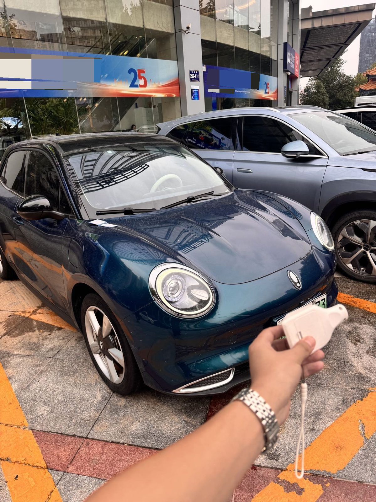 Фото ORA Ora Good Cat 400km Standard Range Venus Edition, NCM Battery — 3