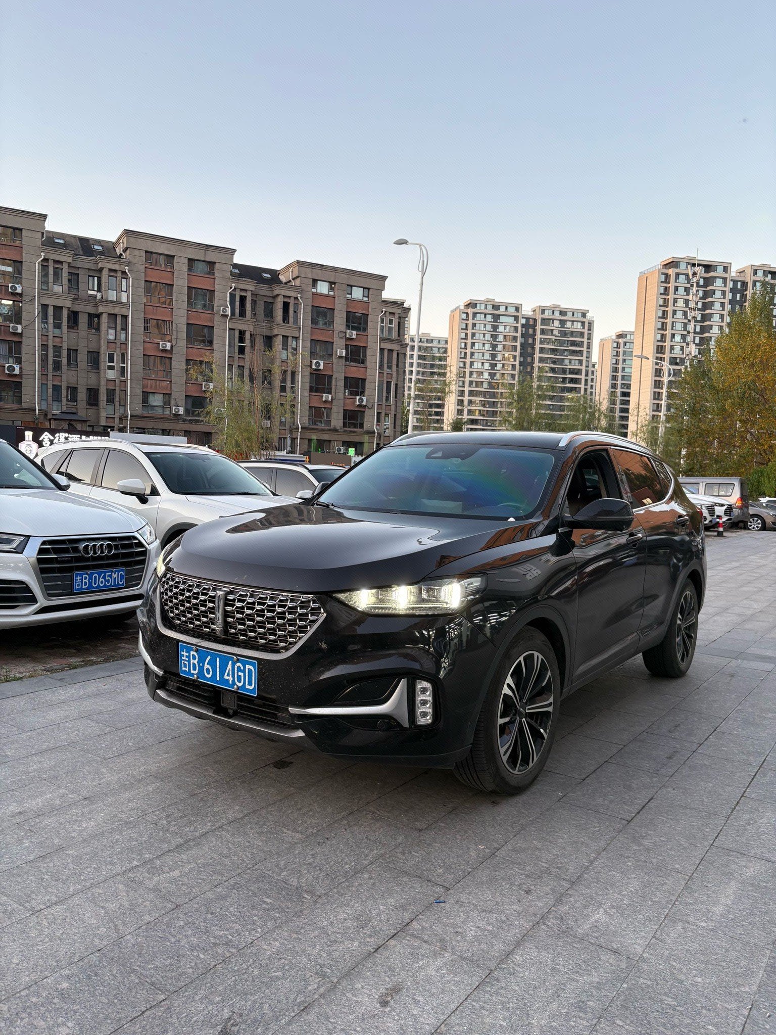 WEY 2021 VV6 2.0T AWD Intelligent Drive+