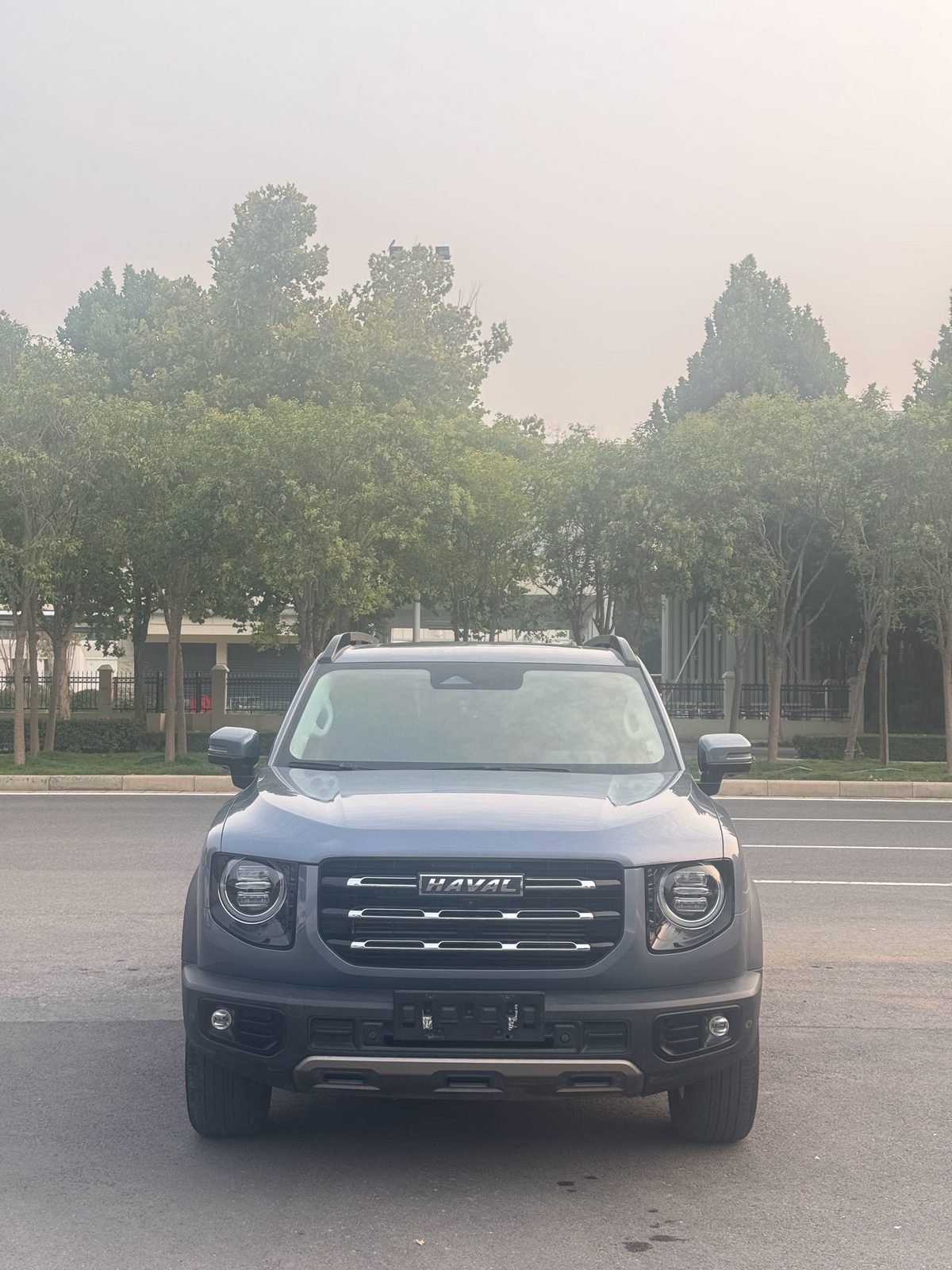 Haval Dargo Big Dog 1.5T Border Collie “Wang Cai” Edition fotoğraf 2