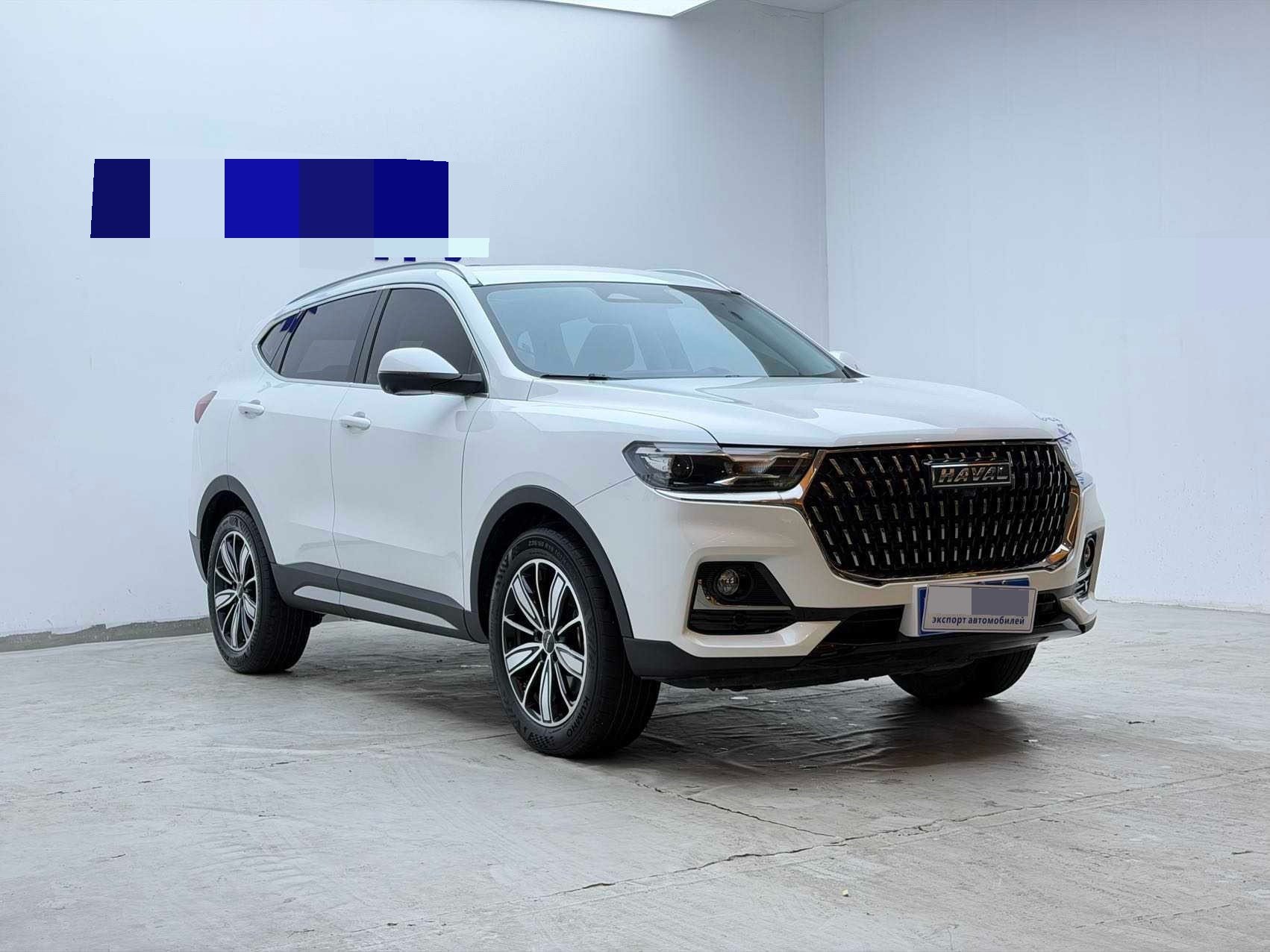 صورة Haval H6 1.5T National Trend Edition Champion Version رقم 3