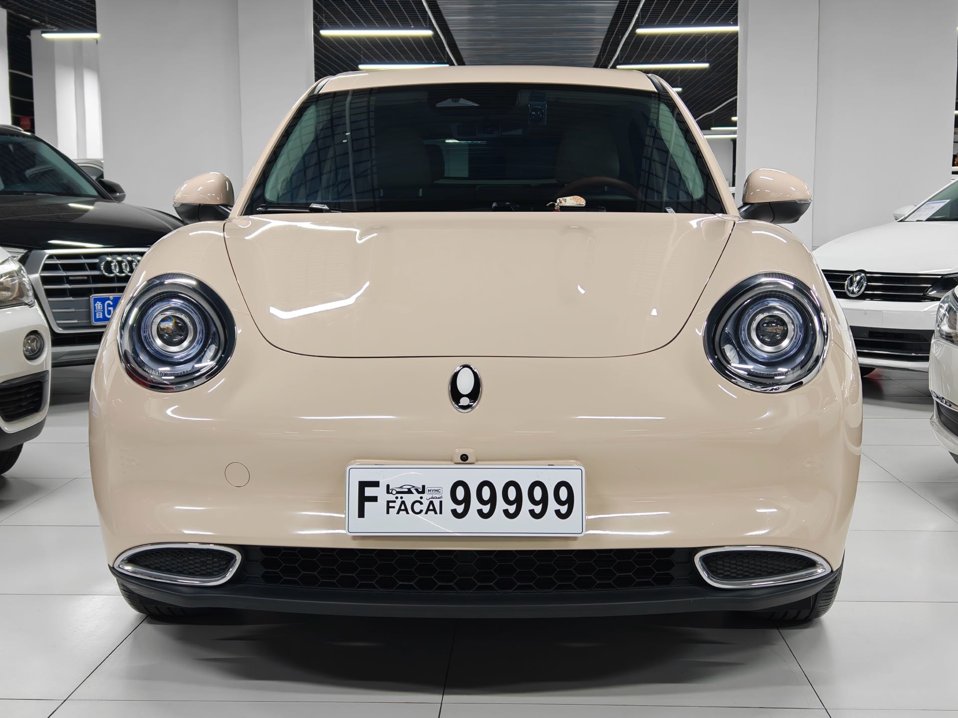 Фото ORA Good Cat 400 km Standard Range Venus Edition — 2