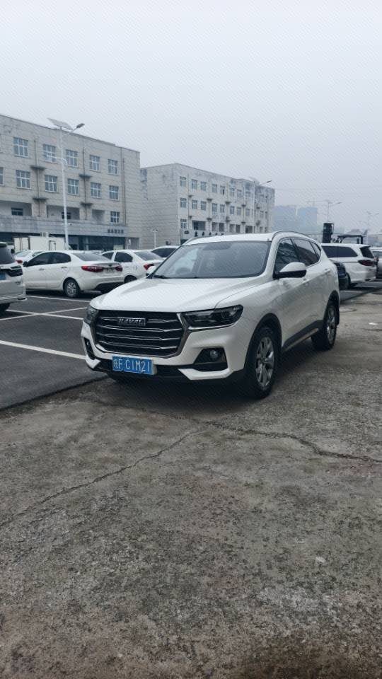 Haval H6 1.5T National Trend Edition Champion Edition