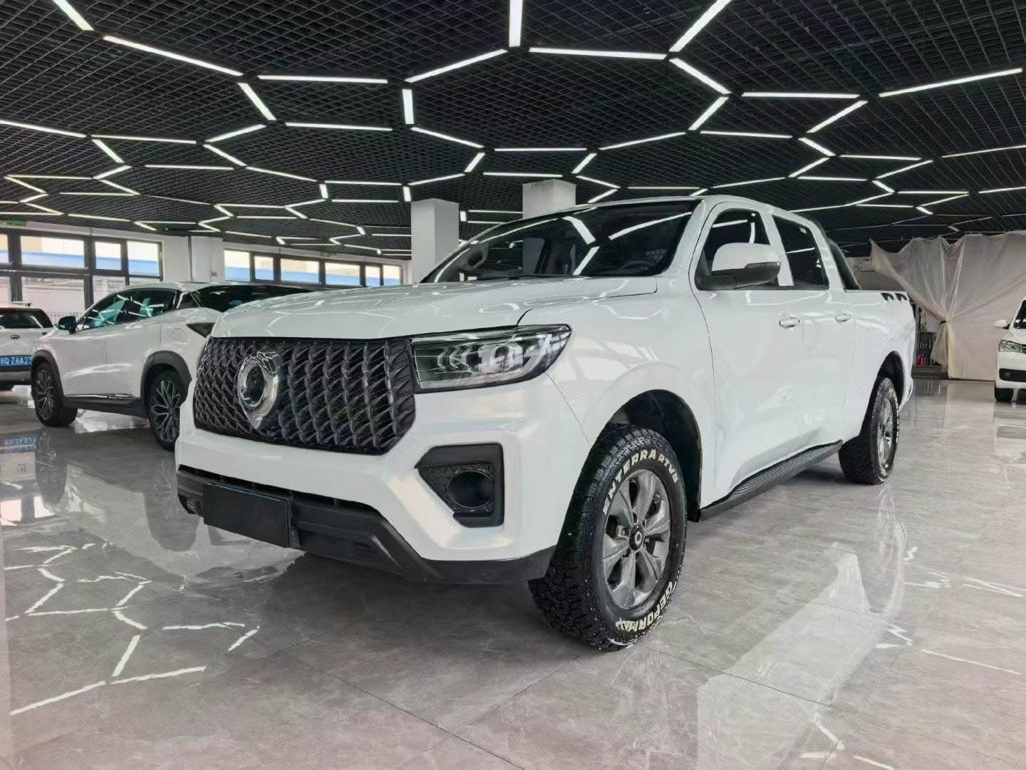 Great Wall POER 2023 Pao 2.0T Commercial Gasoline 4WD Elite Long-Body