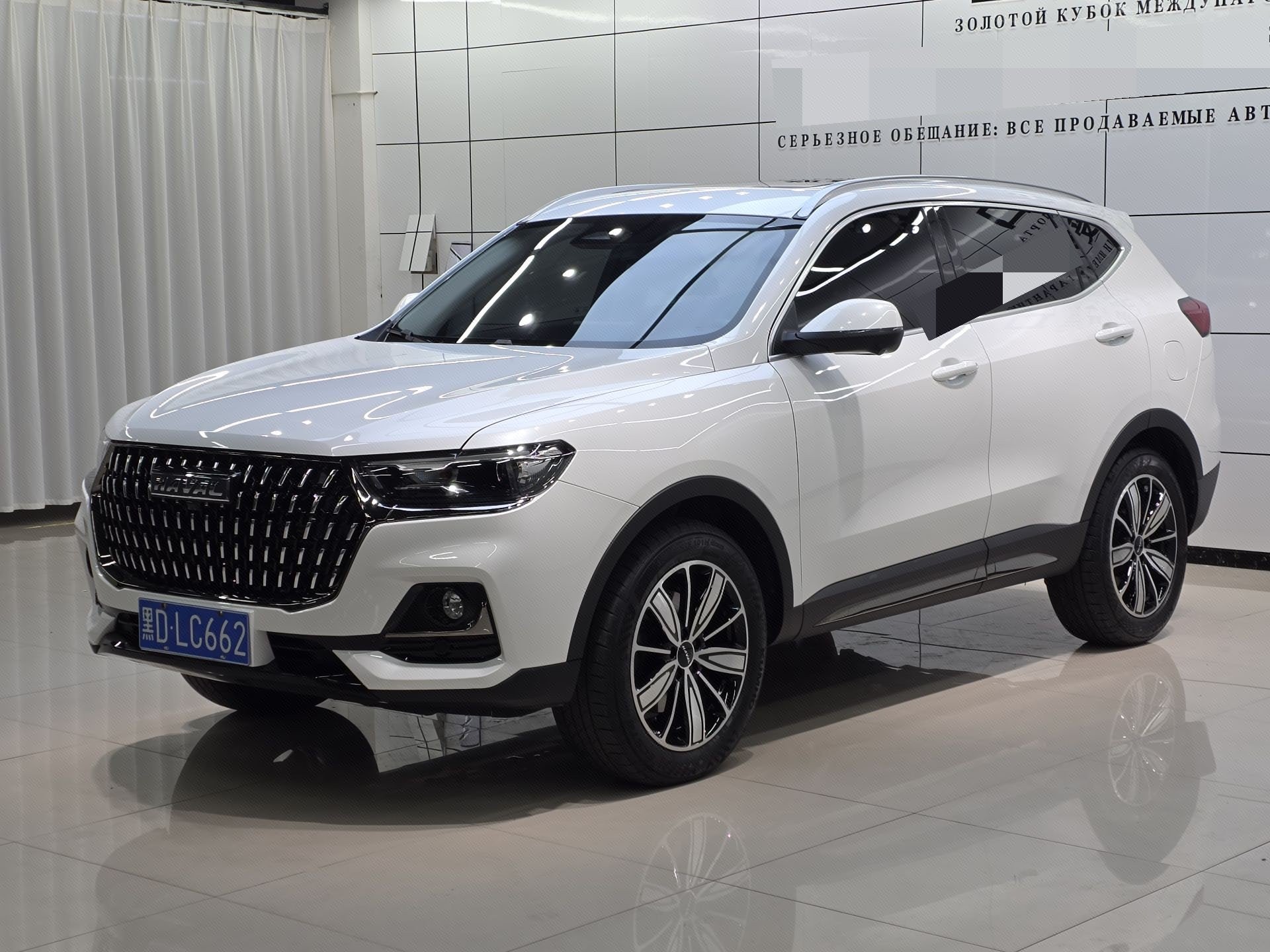 Haval 2021 H6 1.5T National Trend Edition Champion Edition