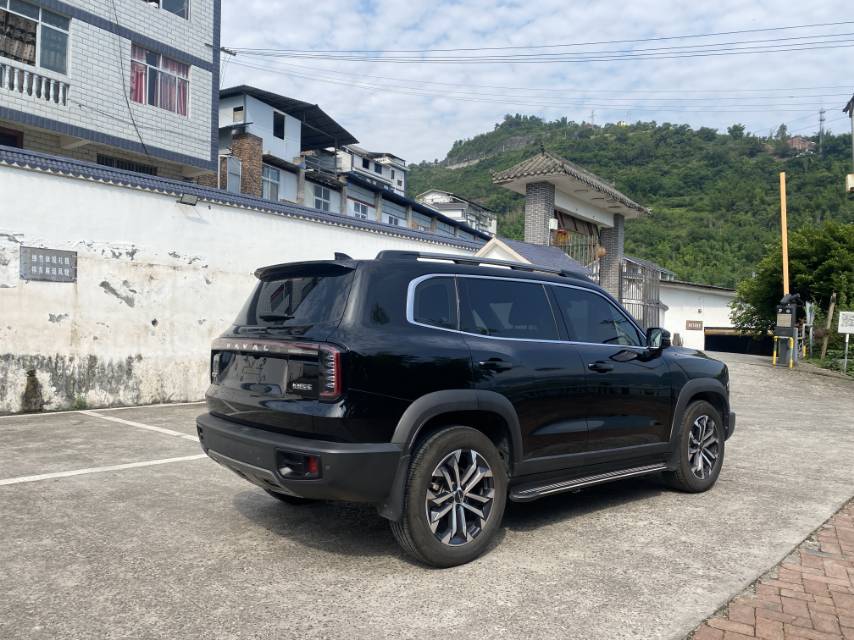 Foto del Haval Dargo Big Dog 1.5T Border Collie Edition 4