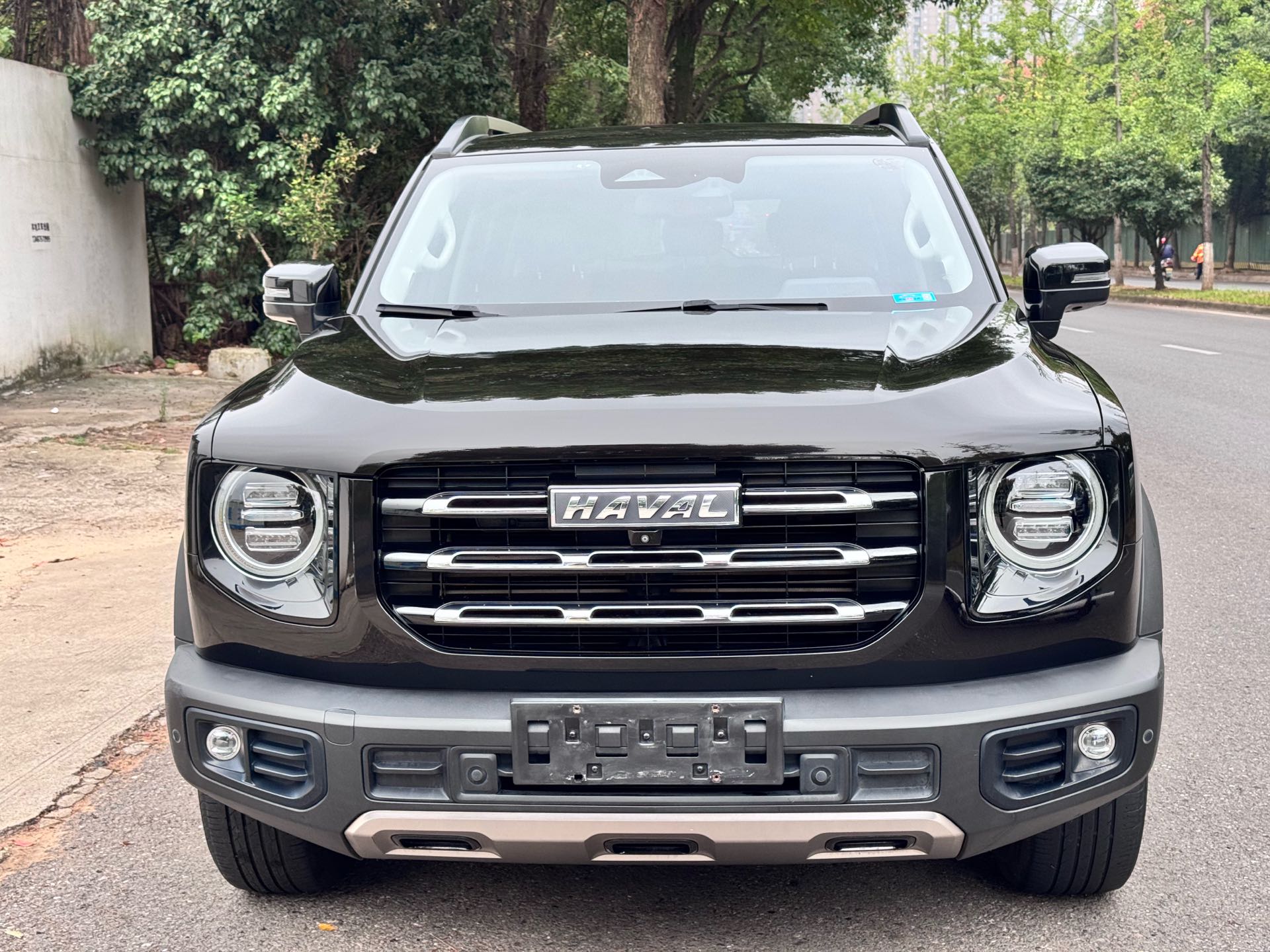 Foto del Haval Dargo Big Dog 1.5T Border Collie “Wang Cai” Edition 2