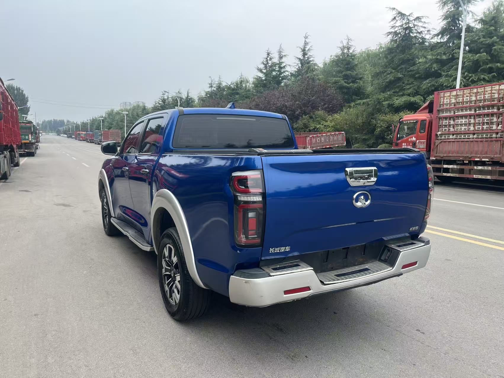 Фото Great Wall POER Cannon 2.0T 2WD Comfort Trim with Small Double Cab — 4