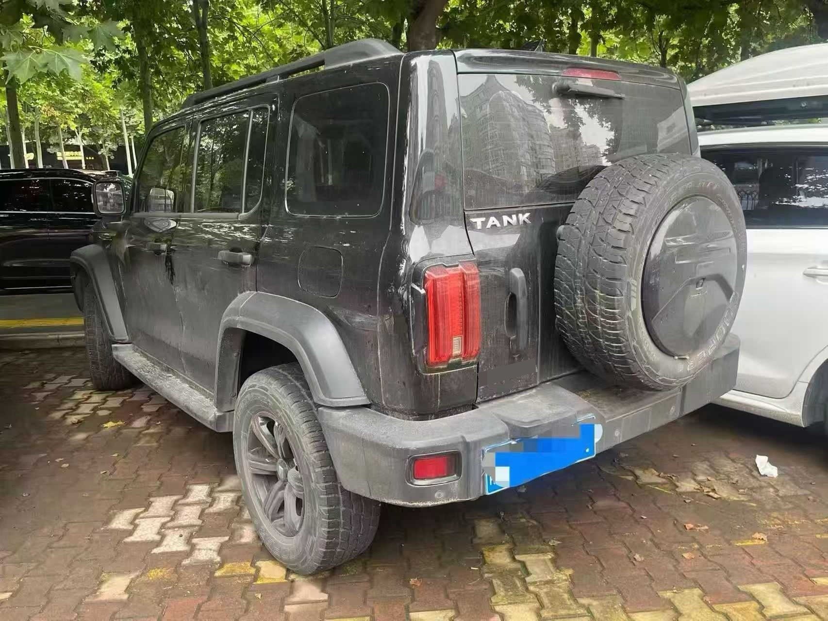 صورة TANK Tank 300 2.0T Off-Road Edition Conqueror رقم 4
