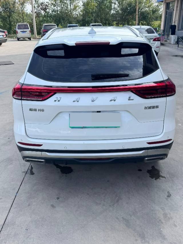 Photo du Haval H6 1.5T National Trend Edition Urban Edition 4