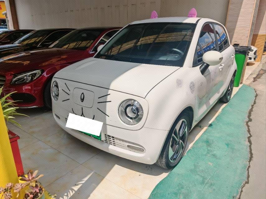ORA 2022 R1 (Black Cat) 351km Luxury Model