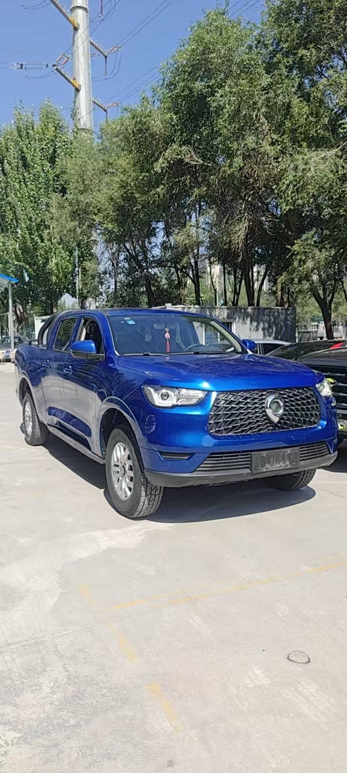 Great Wall POER 2019 Cannon 2.0T AWD Navigator Long Bed photo 3