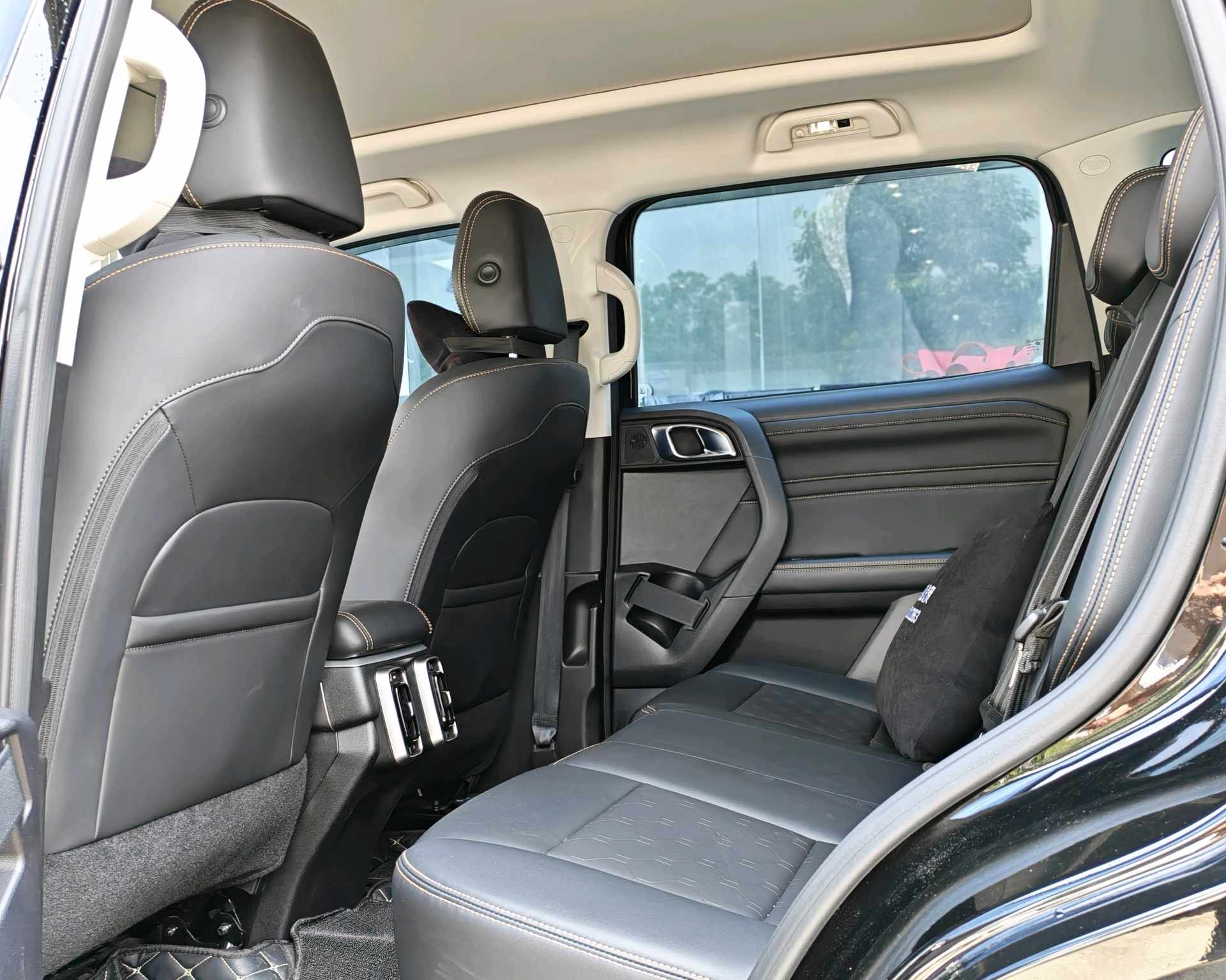 Haval Dargo Big Dog 1.5T Border Collie Edition foto 5