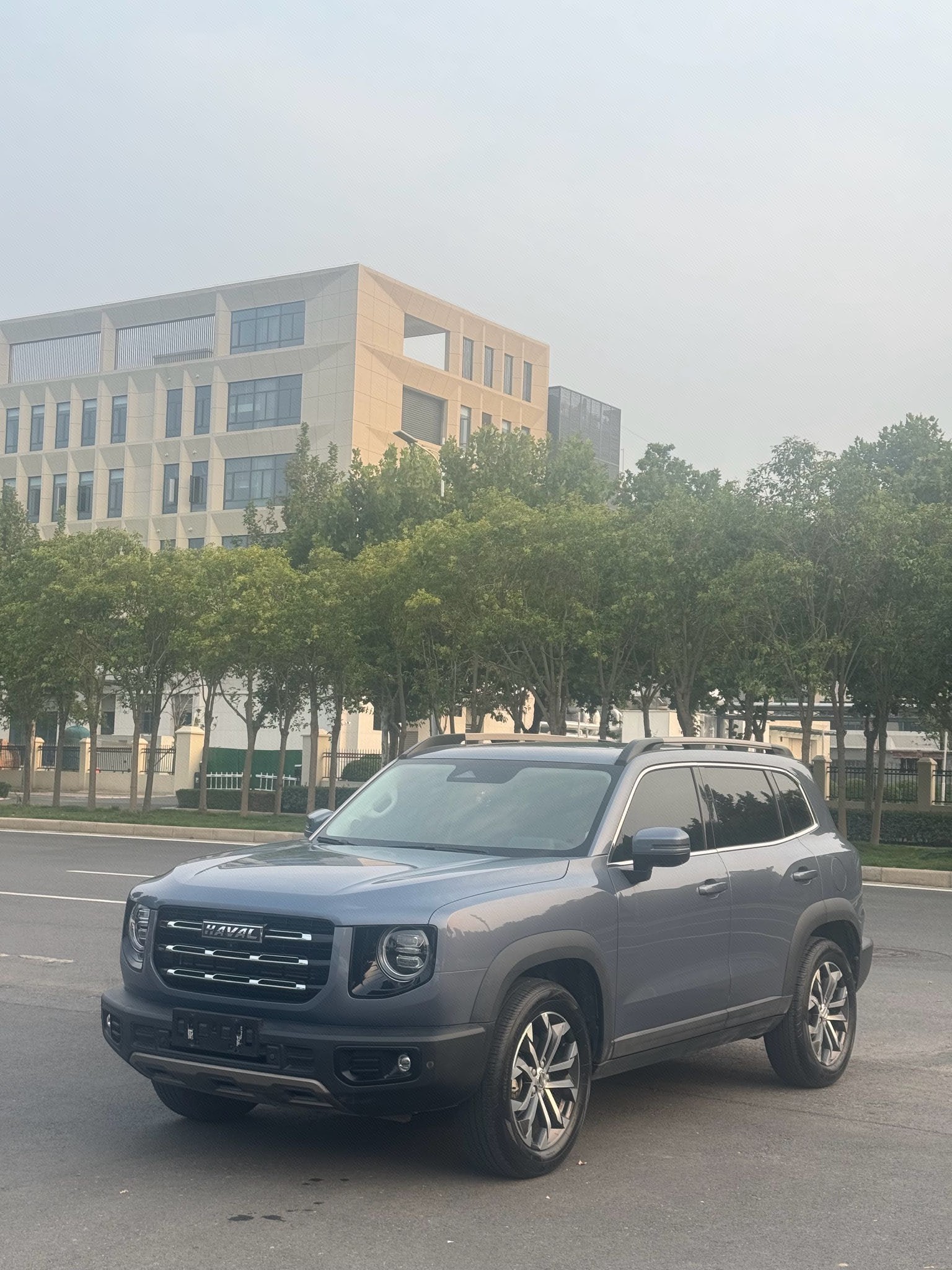 Haval Dargo 2021 Big Dog 1.5T Border Collie “Wang Cai” Edition