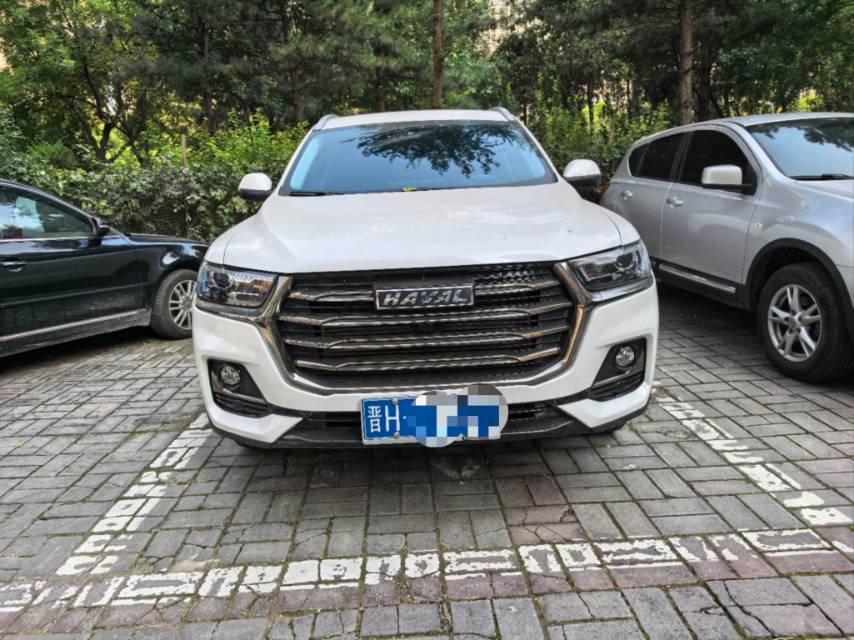 Haval 2021 H6 1.5T National Trend Edition Urban Version photo 2
