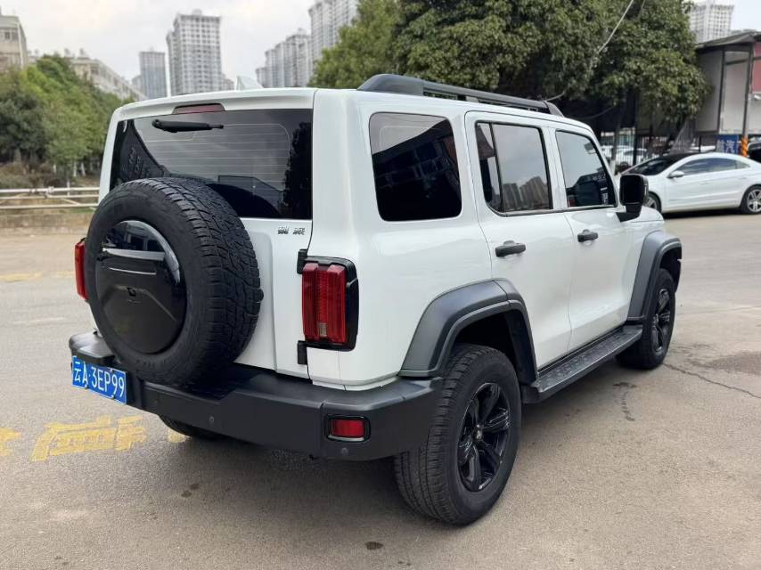 TANK 2021 Tank 300 2.0T Off-Road Edition Conqueror photo 5