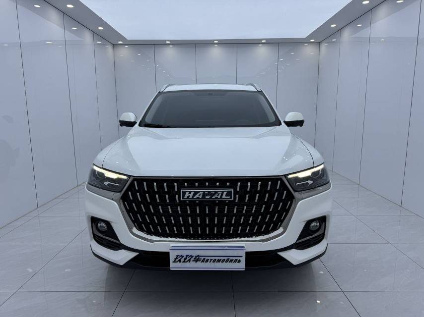 Haval H6 1.5T National Trend Edition Urban Edition fotoğraf 2