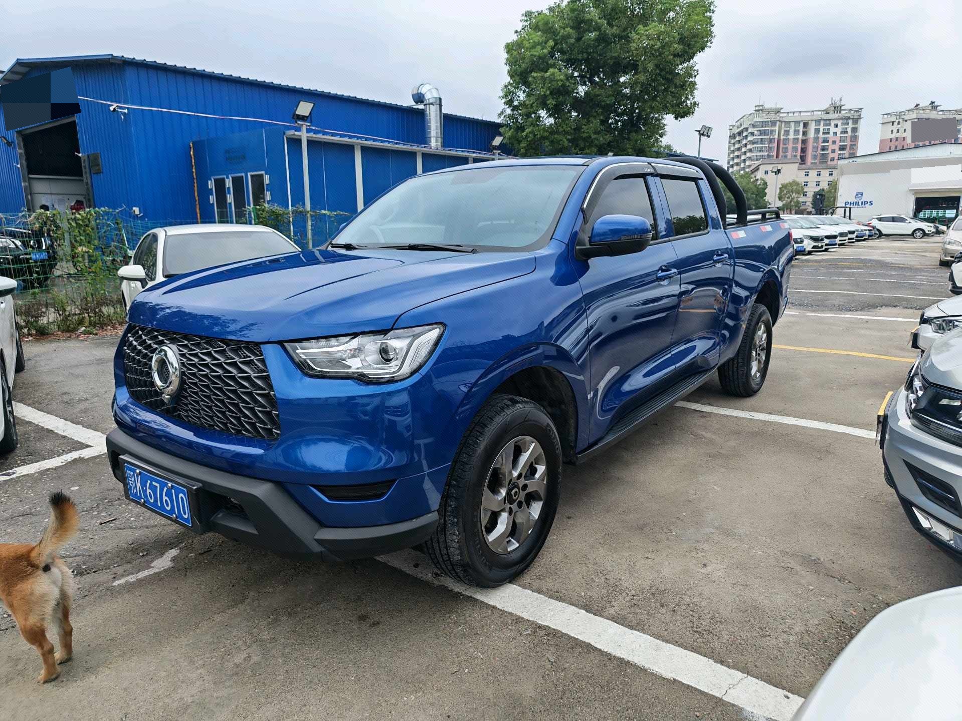 Great Wall POER 2023 Cannon 2.0T Commercial Diesel 2WD Elite Long Bed