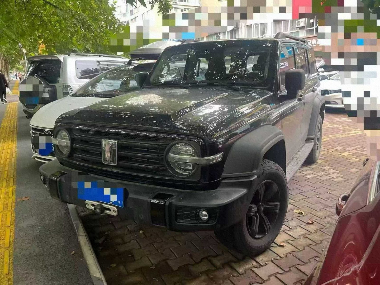 TANK 2021 Tank 300 2.0T Off-Road Edition Conqueror