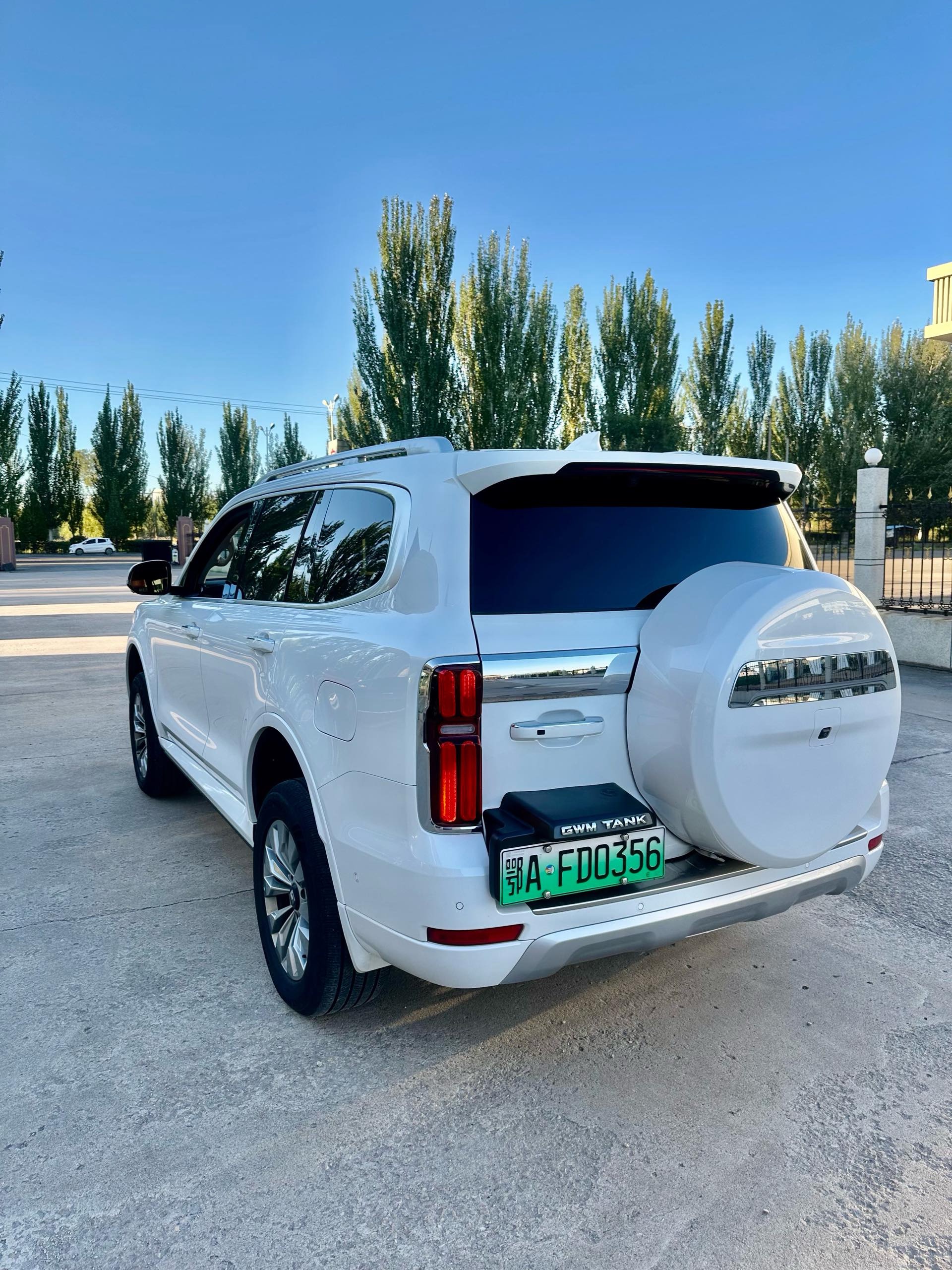 TANK Tank 500 Hi4-T 2.0T Standard Edition foto 5