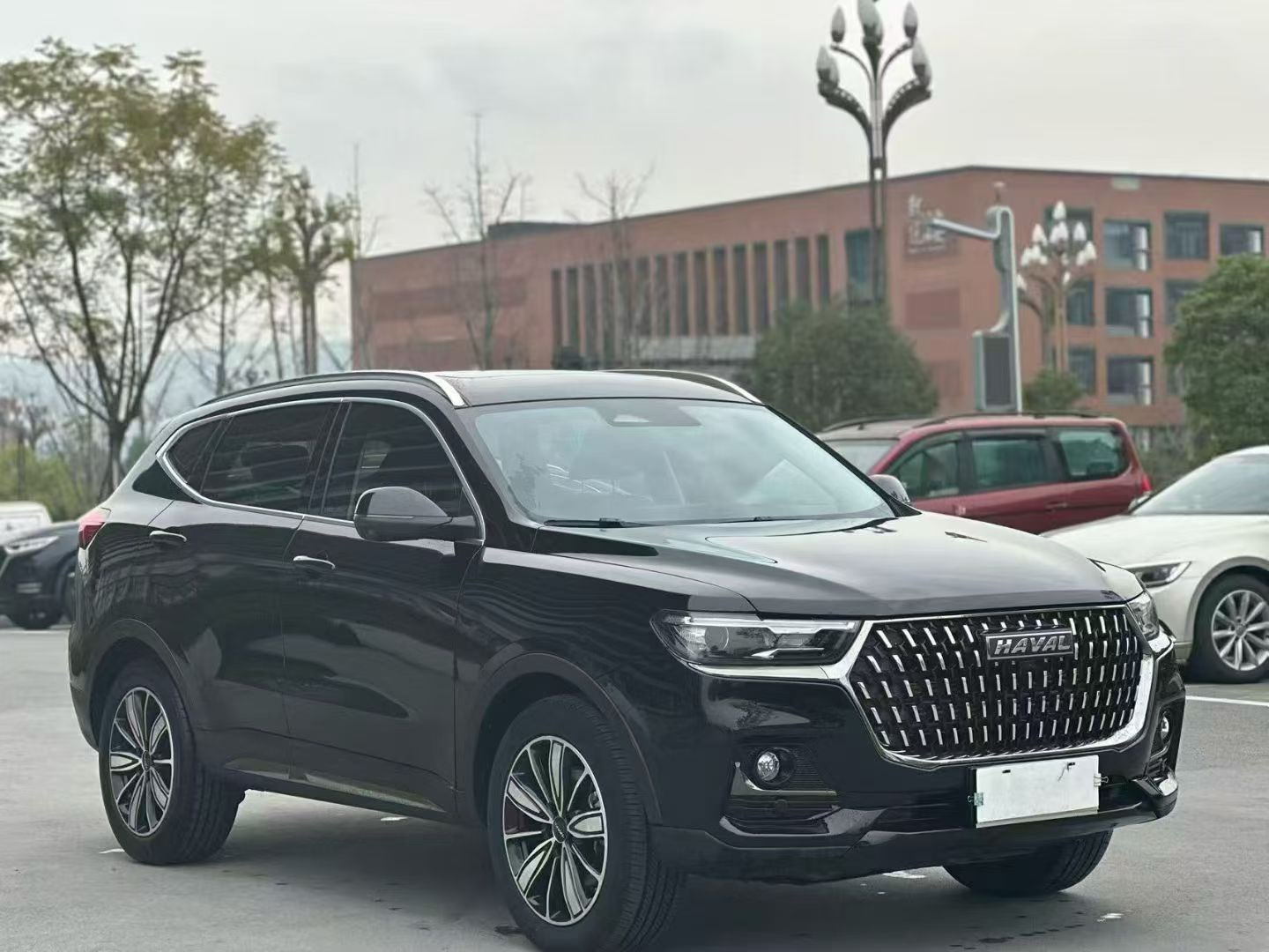 Haval H6 1.5T National Trend Edition Champion Version photo 3