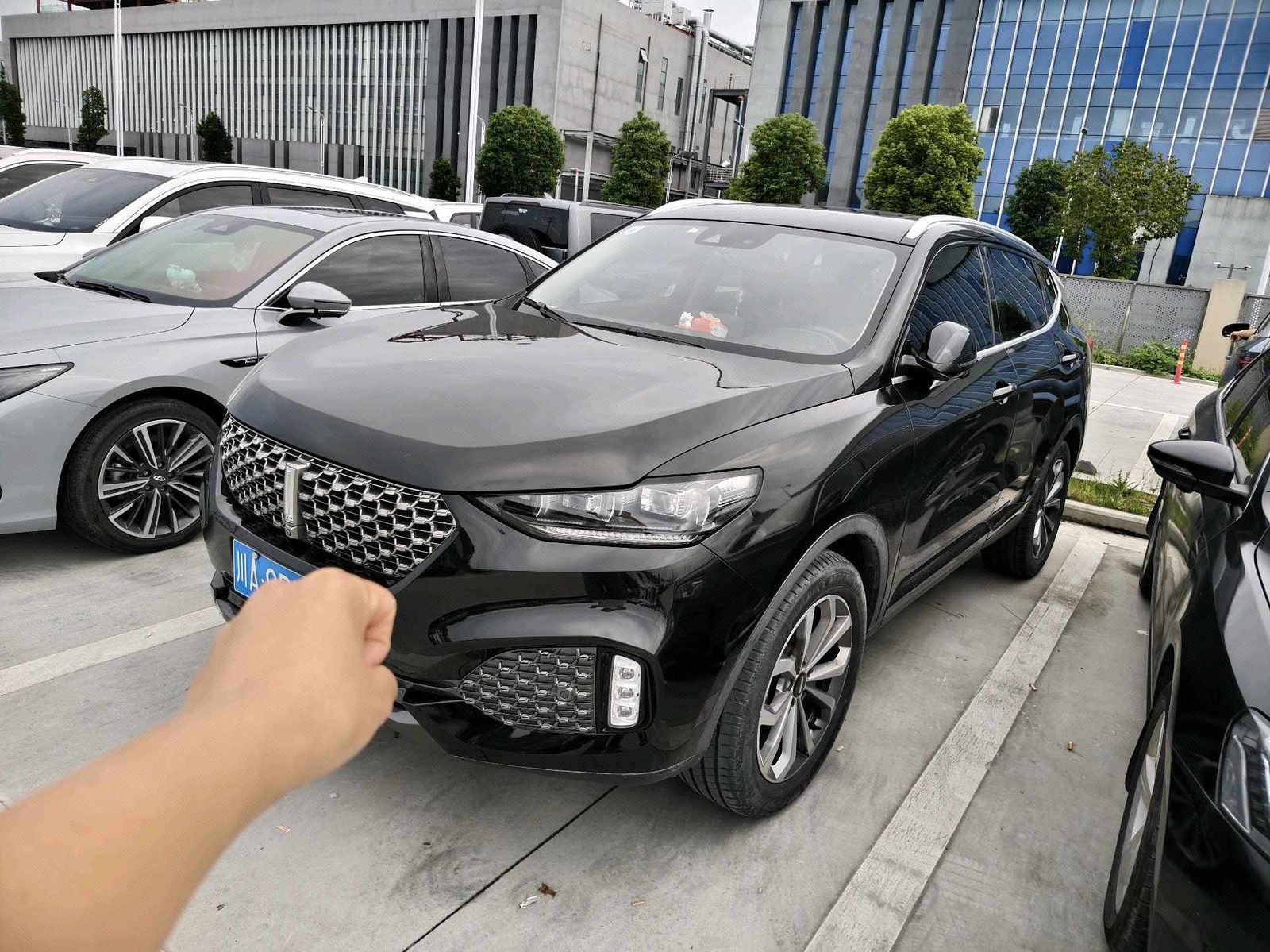 WEY 2020 VV6 2.0T Two-Wheel-Drive Zhihu+