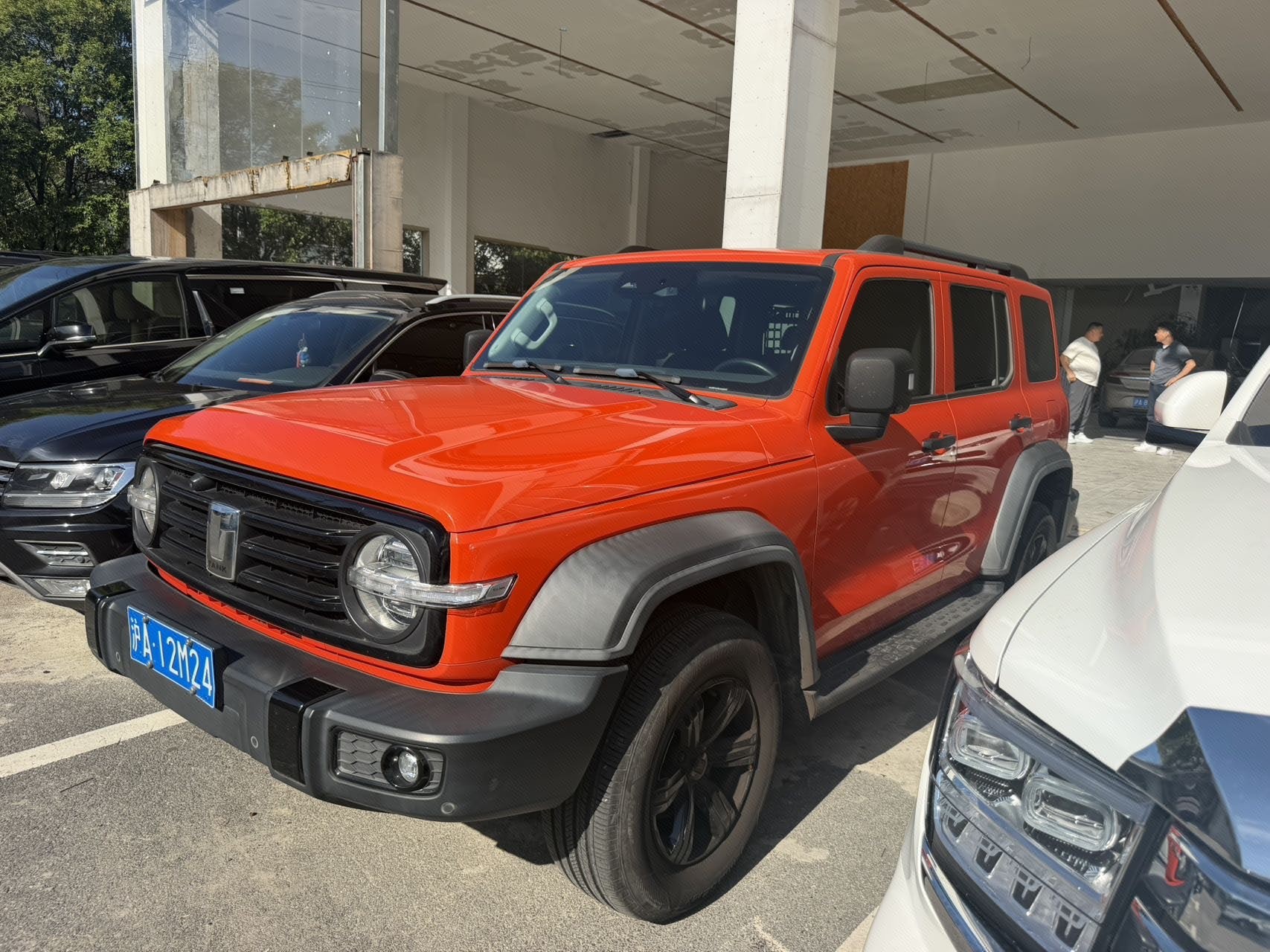 TANK 2021 Tank 300 2.0T Off-Road Edition Conqueror
