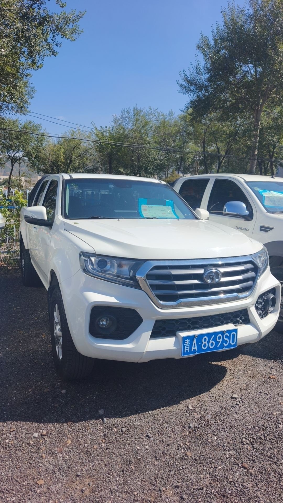 Great Wall Wingle 7 2019 Fengjun 7 2.0T 2WD Champion Edition Short Bed photo 2