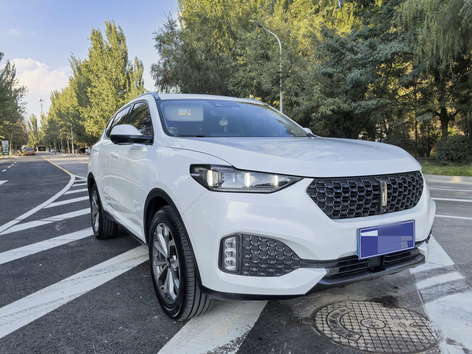 Foto del WEY VV6 2.0T AWD Intelligent Drive+ 3
