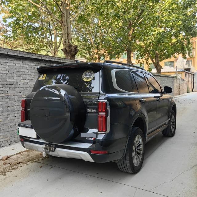TANK 2026 Tank 500 Hi4-T 2.0T Zhi Xiang Edition photo 4