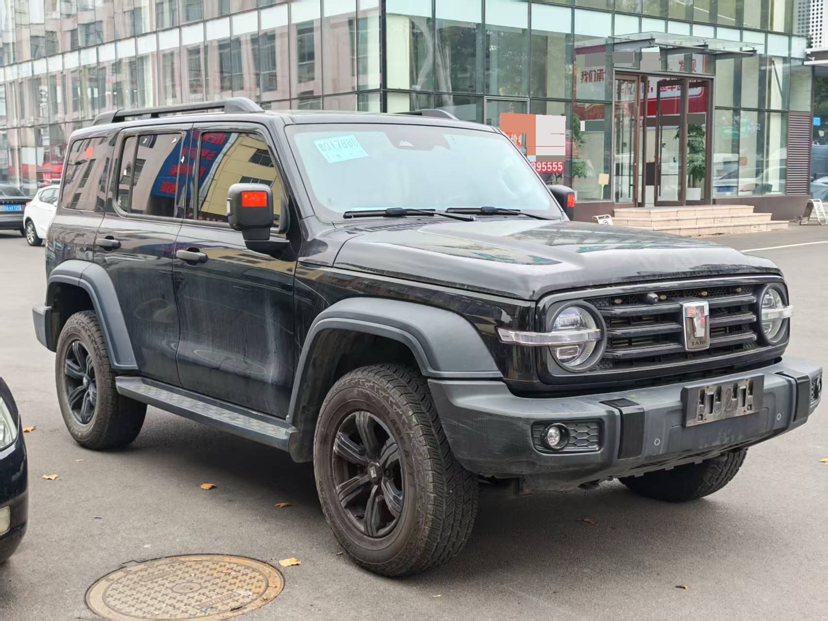 TANK Tank 300 2.0T Off-Road Edition Conqueror photo 2
