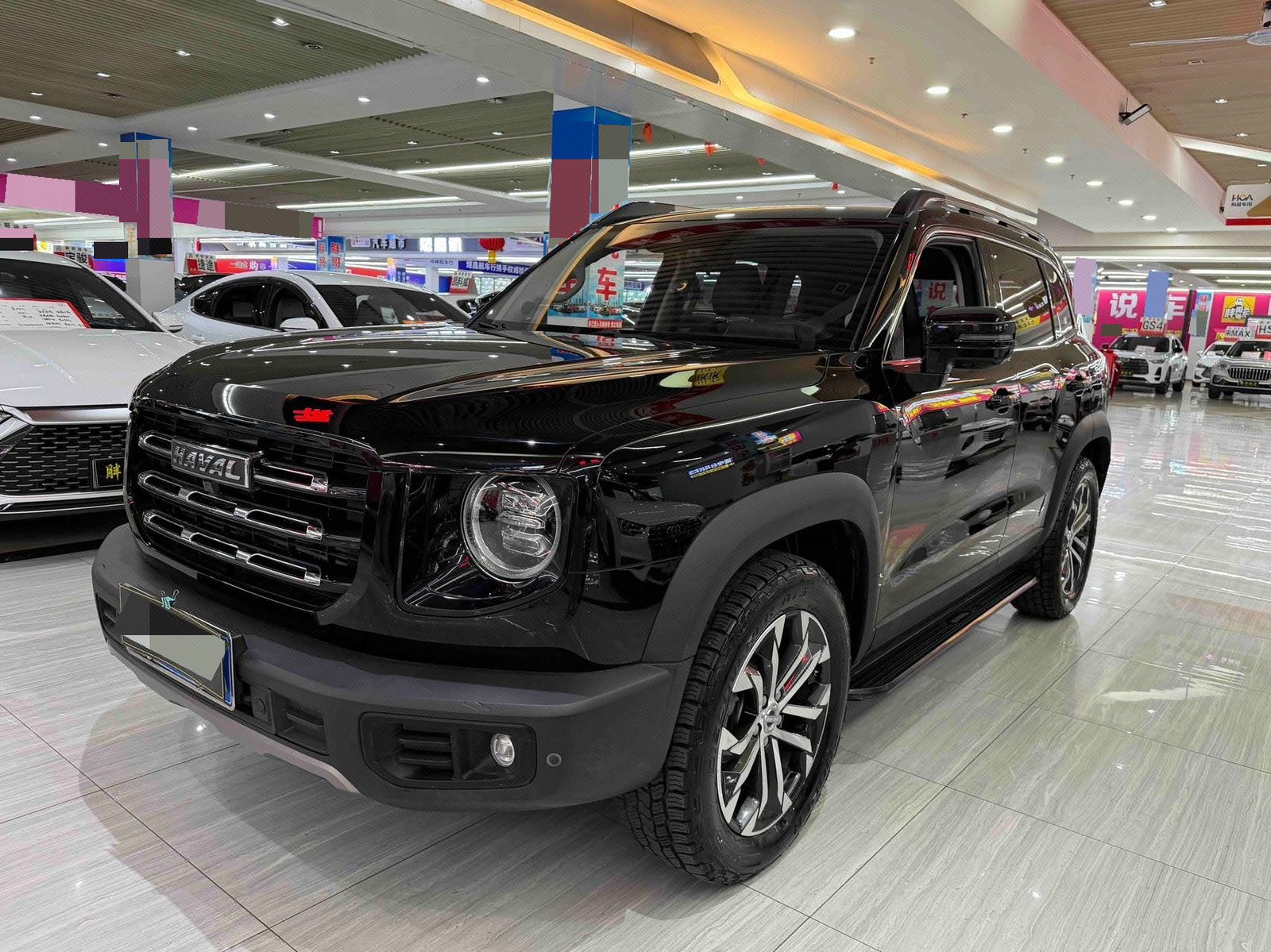 Haval Dargo 2021 Big Dog 1.5T Border Collie “Wang Cai” Edition