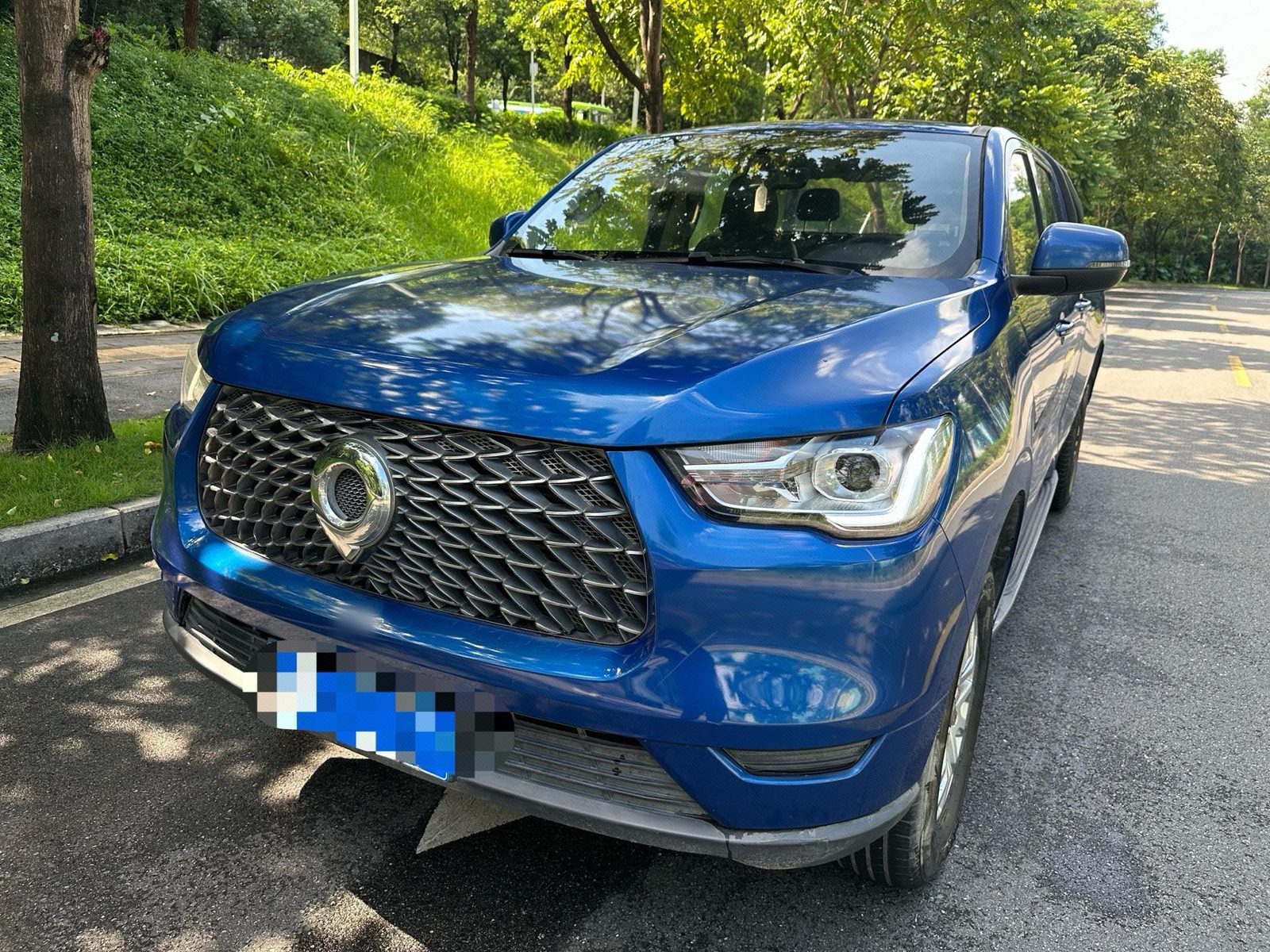 Great Wall POER 2020 Cannon 2.0T Commercial Version, 2WD Elite Long-Box Model