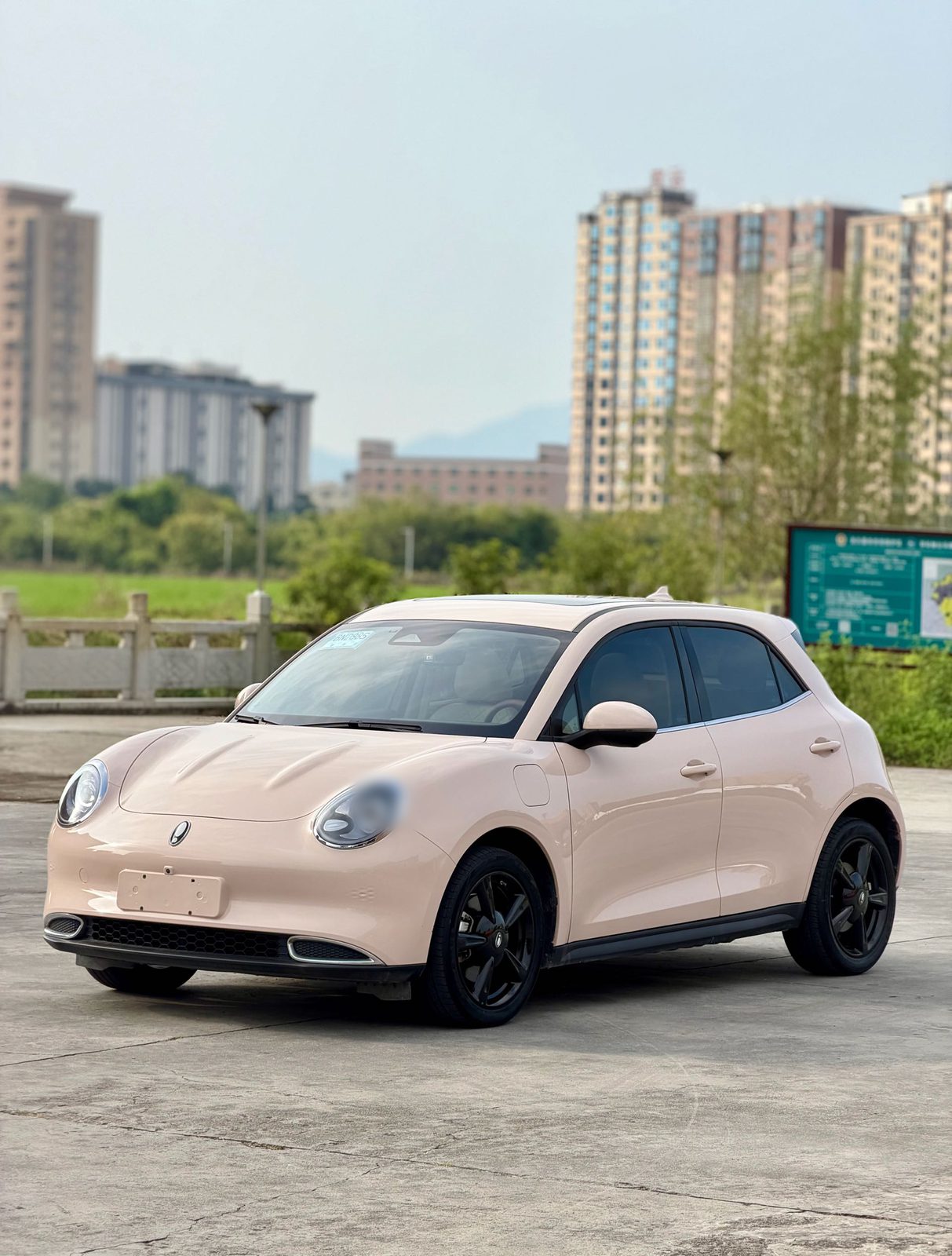 ORA Good Cat 401km Luxury Model fotoğraf 3