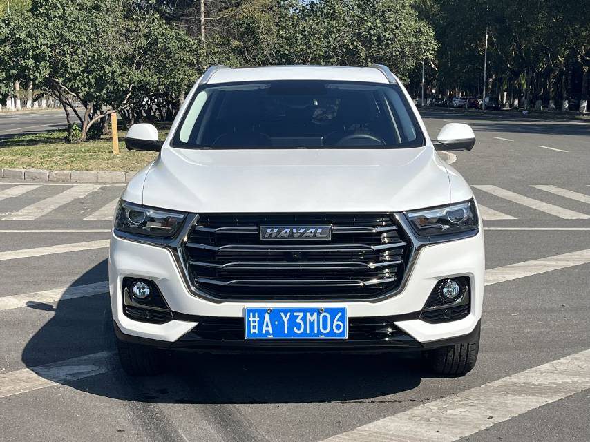 Haval H6 1.5T National Trend Edition Champion Edition foto 3