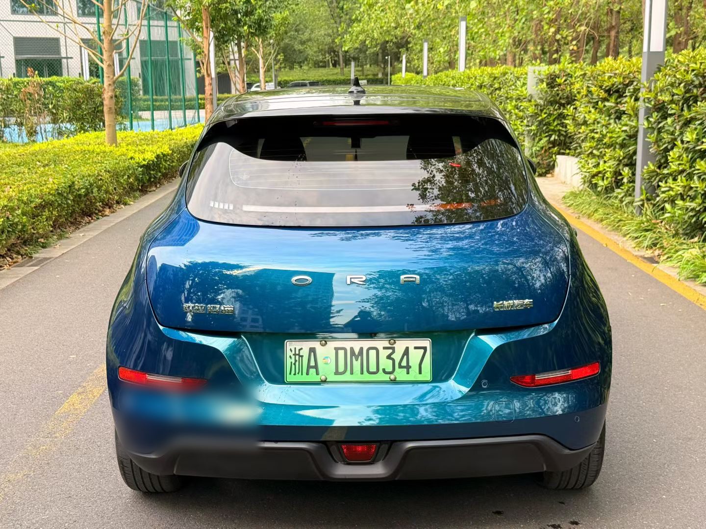 ORA Good Cat 500 km Long Range Official Version, Ternary Lithium photo 4