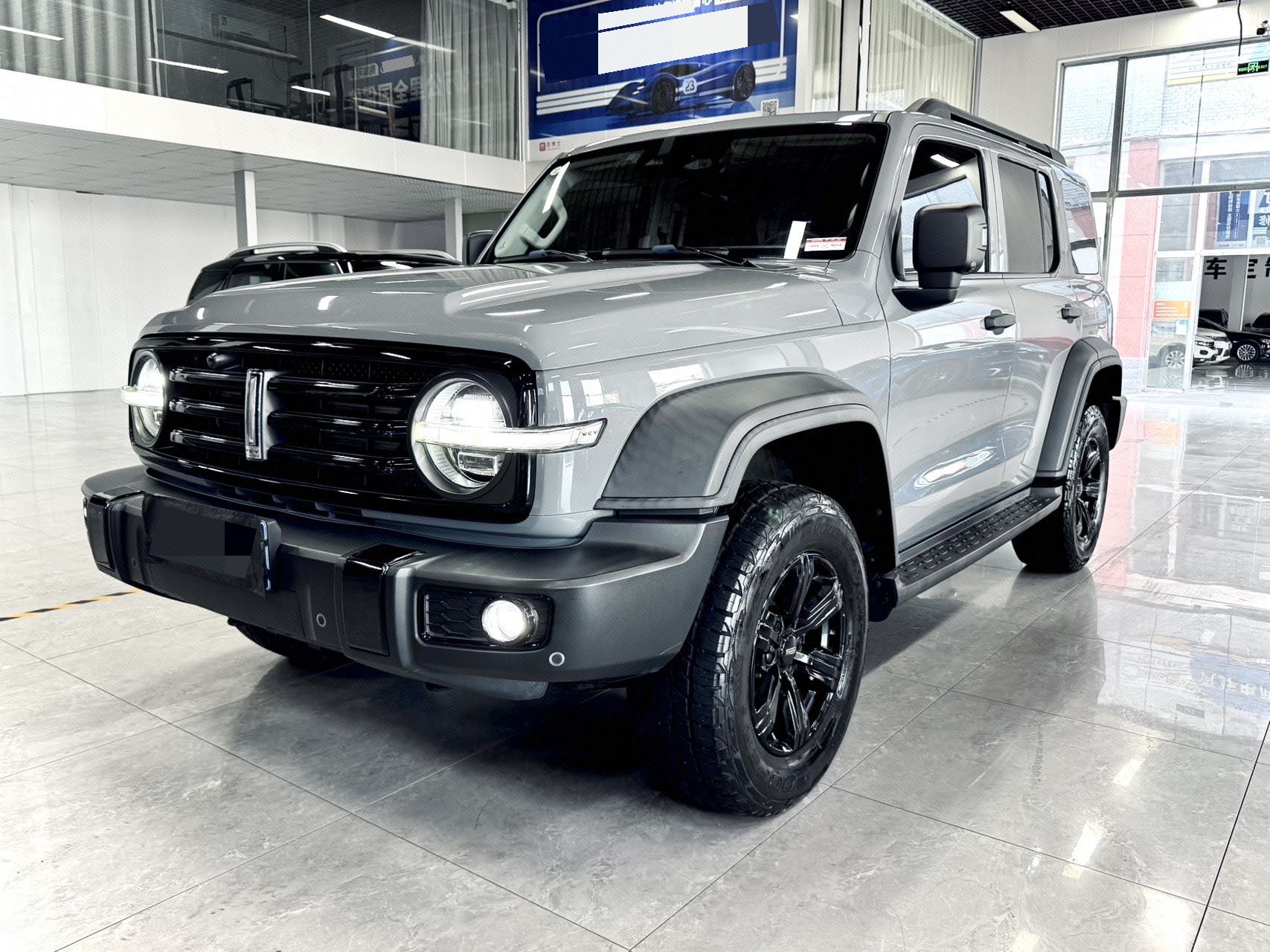 TANK 2021 Tank 300 2.0T Off-Road Edition Conqueror