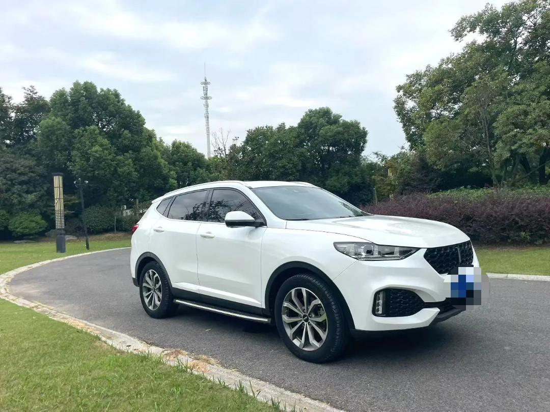 WEY VV6 2.0T Four-Wheel-Drive Flagship Model fotoğraf 3